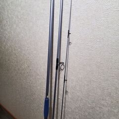 シーバス用ロッド(サケ釣りに使用)