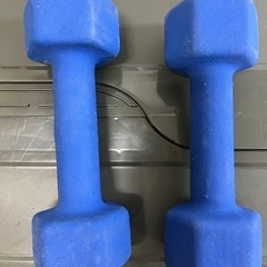 腹筋ローラー  と ダンベル 5kg 