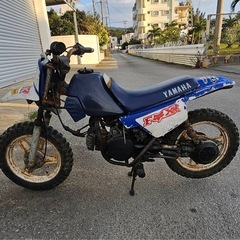 ヤマハ PW50