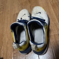 NIKE ナイキ　エアプレスト26cmの画像