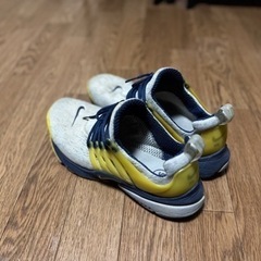 NIKE ナイキ　エアプレスト26cmの画像