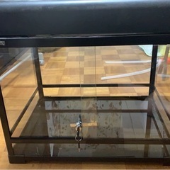 爬虫類　ケージ　ペット