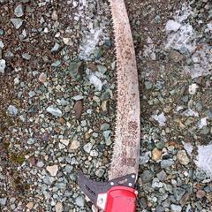 高枝切り鋏枝打ち一撃の画像