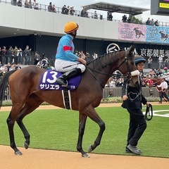 ［締め切り］1月12日一緒に競馬観戦しませんか😃競馬仲間・競馬友達・競馬グループ⭐︎競馬に興味ある方大募集！ - 中野区