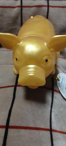 金色のブタさん