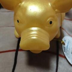 金色のブタさん🐖