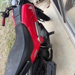 ホンダ　
NAVI110 の画像