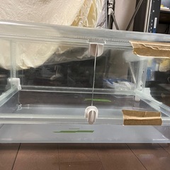 グラスハーモニー 600の画像