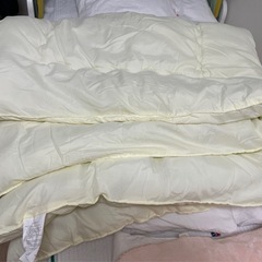 掛け布団 ジュニアサイズ 子供用 [135×185㎝] 