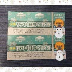 シャトレーゼスキーバレー野辺山・シャトレーゼスキーバレー小海 ス...