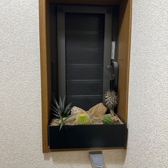 ドライガーデン ロックガーデンの画像