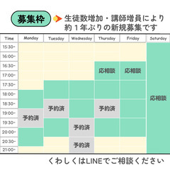 ＜小中学生のための個別対策：英検®︎5級〜1級＞ ネイティブ＆英検1級講師担当の画像
