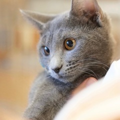 篝♡家族ができました