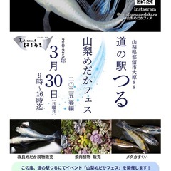 山梨めだかフェス　開催