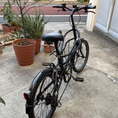 20インチ自転車 DOPPELGANGER ROADYACHT ロードヨット 330Cの画像