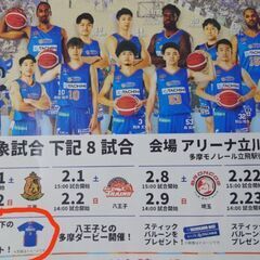 立川ダイス アリーナ立川立飛vs三重　観戦チケット 2025年1月11日（土）の画像