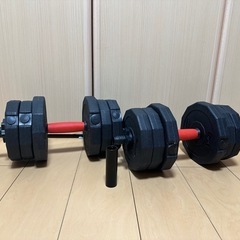 懸垂バー　ダンベル　セットの画像