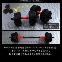 懸垂バー　ダンベル　セットの画像