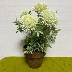 フェイクグリーン　観葉植物