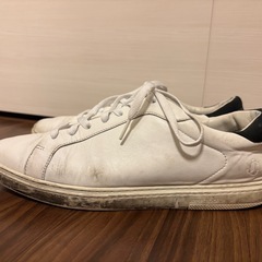 #JIMMYCHOO#ジミーチュウ#レザー#ローカットスニーカーの画像