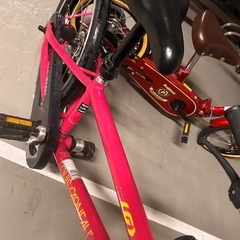 1/20迄　Louis Garneau自転車　キッズ自転車の画像