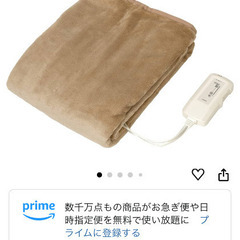 新品  コイズミ 電気敷毛布 KDS-50212V　抗菌抗ウィルスの画像