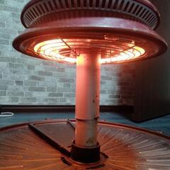 ザイグルの画像