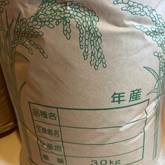 コシヒカリ新米