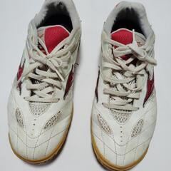 Mizunoシューズ24.5cm