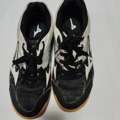 Mizunoシューズ24.5cm