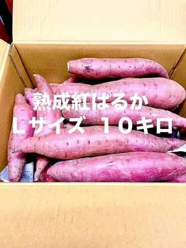 農薬・化学肥料不使用 熟成紅はるか Lサイズ ５キロ
