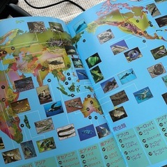 しゃべる地球儀パーフェクトグローブ　NeoVisionの画像