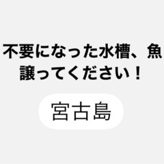 水槽、魚譲ってください