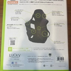 【美品】進化系「おんぶひも」の画像