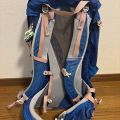 GREGORYZ 35 グレゴリーの画像