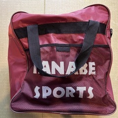 スキーブーツ（ノルディカ）25.0の画像