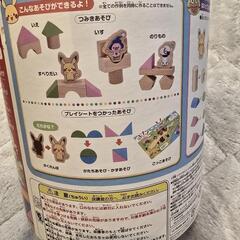 ポケモン積み木&図鑑の画像