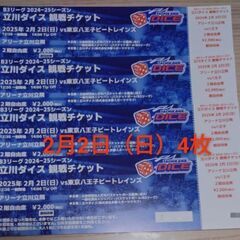 2月2日4枚立川ダイスvs八王子ビートレインズ チケット