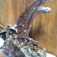 天然木　飾り木の画像