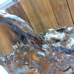 天然木　飾り木の画像