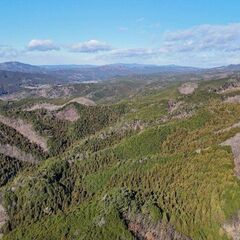 【成約済】山林物件225　茨城県常陸太田市大菅町