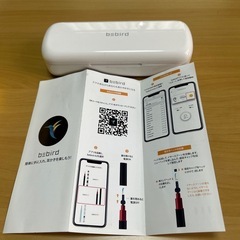 耳の中がのぞける‼️　耳かきbebird A2