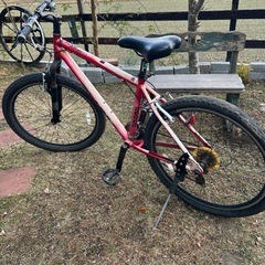 マウンテンバイク(決まりました)