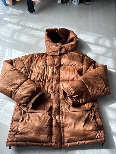 THE NORTH FACE ダウンジャケット　Lサイズ