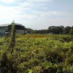 桔梗が丘南隣接地です！見晴らしの良い立地！南向き・約６１１坪！建築条件なし！ - 土地販売/土地売買