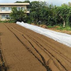 🌱【農業アルバイト２名募集】自然に触れながら働こう！🌾週３～５勤務の画像