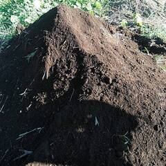 🌱【農業アルバイト２名募集】自然に触れながら働こう！🌾週３～５勤務の画像