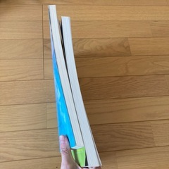 2冊で300円の画像