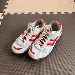 体育館シューズ 