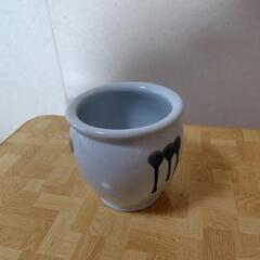 かめ（久松）の画像